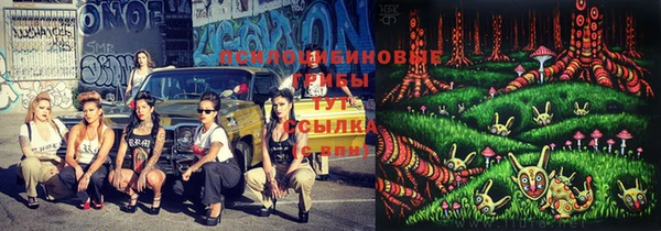 MDMA Пролетарск