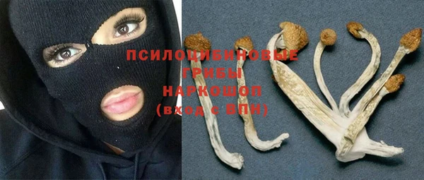 метадон Протвино