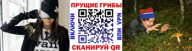 Псилоцибиновые грибы прущие грибы Аткарск
